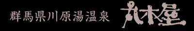 川原湯温泉 旅館丸木屋